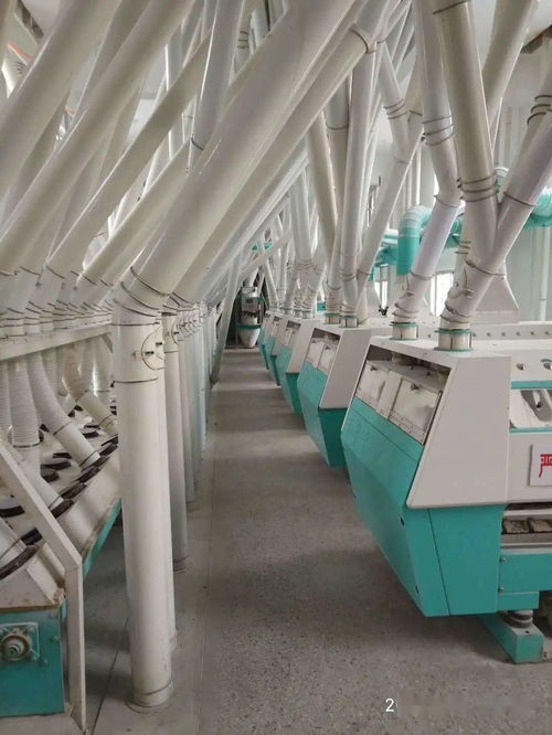 梁山縣新豐面粉廠 誠邀全國經銷商，共拓勞動保護用品銷售新藍海